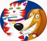 Banho e Tosa de Animais no Centro de Curitiba