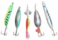 Lojas de Pesca no Centro de Curitiba