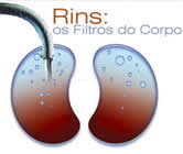 Nefrologia e Nefrologista no Centro de Curitiba